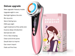 Household Facial Massager - Lees Beauty and Self Care Bar